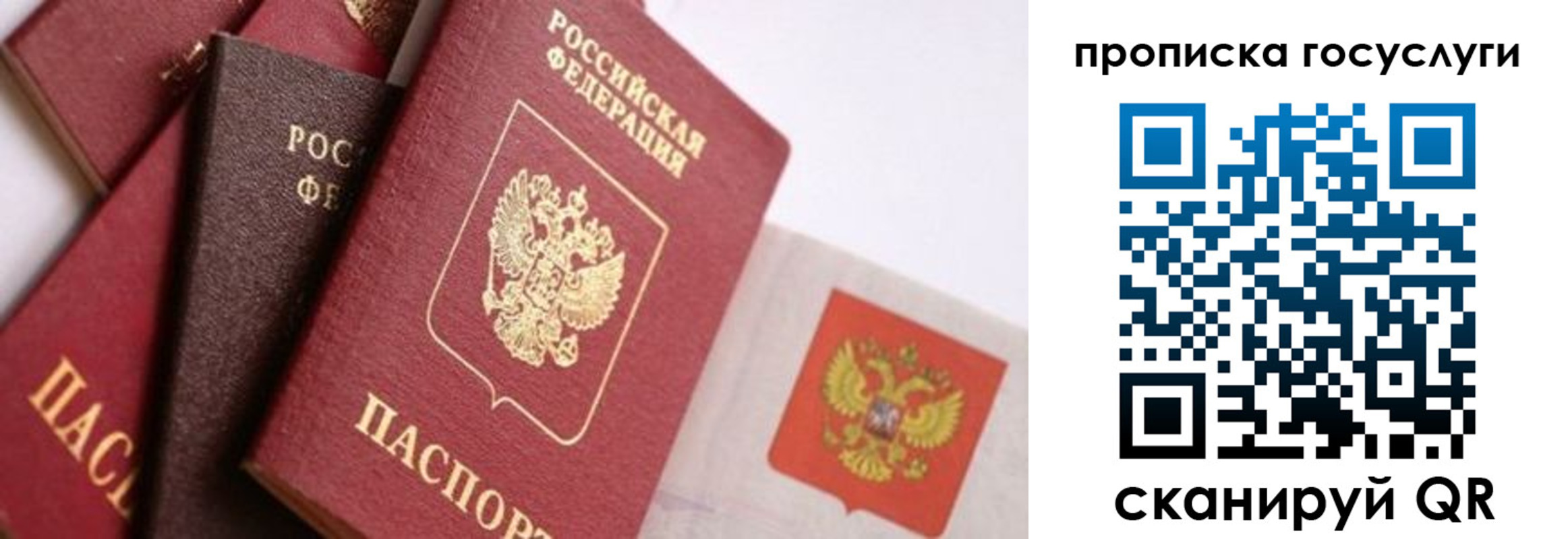 прописка законно в Топках